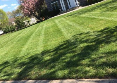 Affordable Landscaping Contractor