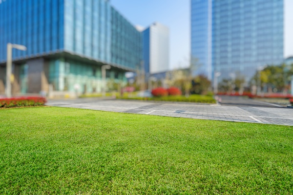 Commercial Lawn Maintenance