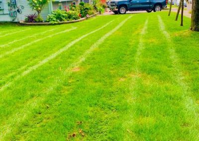 Dependable Lawn Service