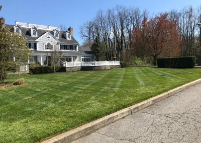 Impeccable Landscaping Contractor