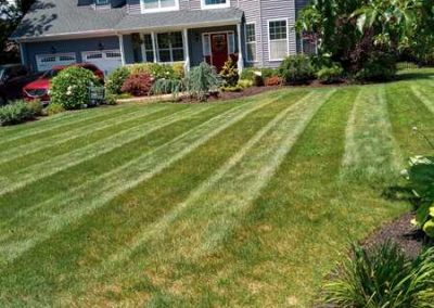 Impeccable Landscaping Service