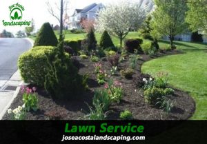 Affordable-Lawn-Service-Planting in Central Islip, NY