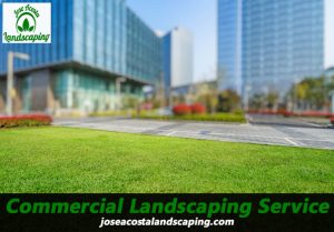 Commercial-Landscaping-Service-Lawn-Maintenance in Central Islip, NY