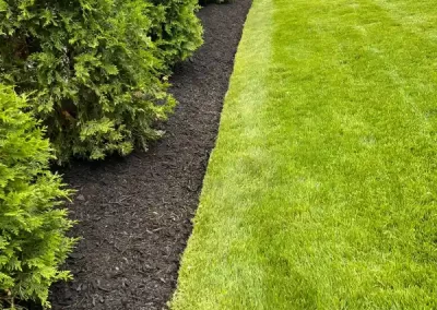 Professional Landscaping Contractor