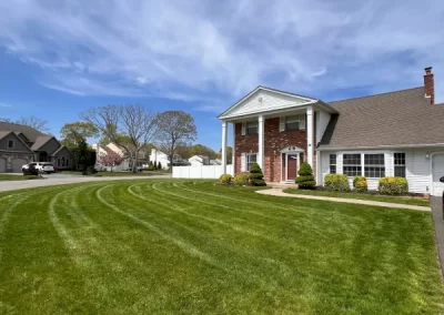 Professional Landscaping Contractor