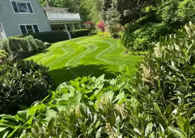 Professional Landscaping Contractor