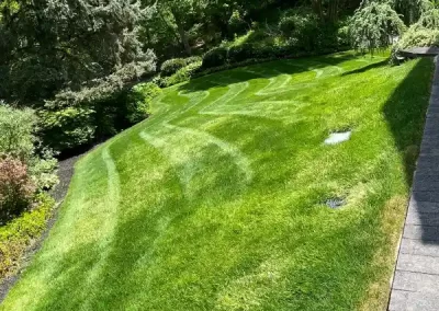 Professional Landscaping Contractor